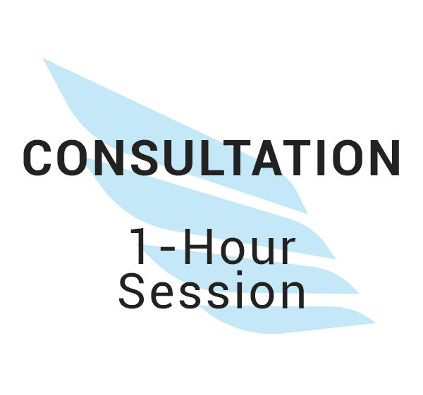 Consultation - Full Hour Session