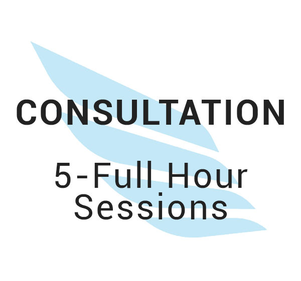 Consultation - 5 Full Hour Sessions