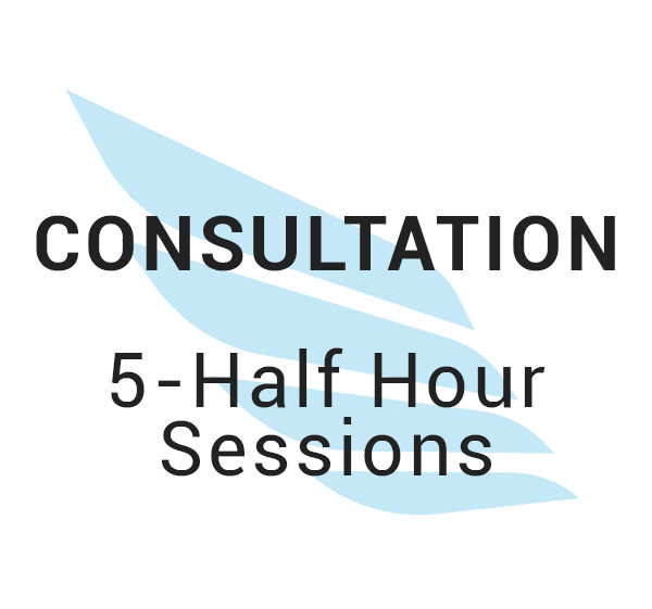 Consultation - 5 Half Hour Sessions