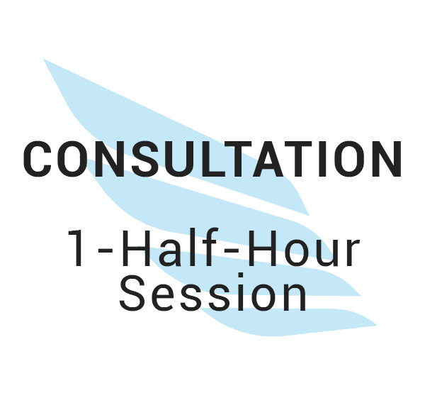 Consultation - Half Hour Session